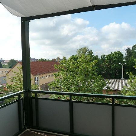Fewo Dresden-Trachau Dış mekan fotoğraf